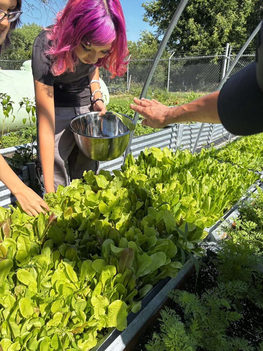 Garden Basics — 2026 Youth Development Initiative, Seven Stones Corp.
