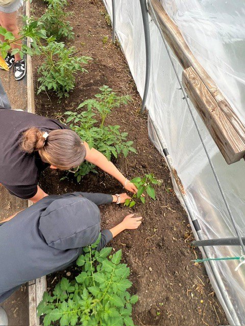 Garden Basics — 2026 Youth Development Initiative, Seven Stones Corp.