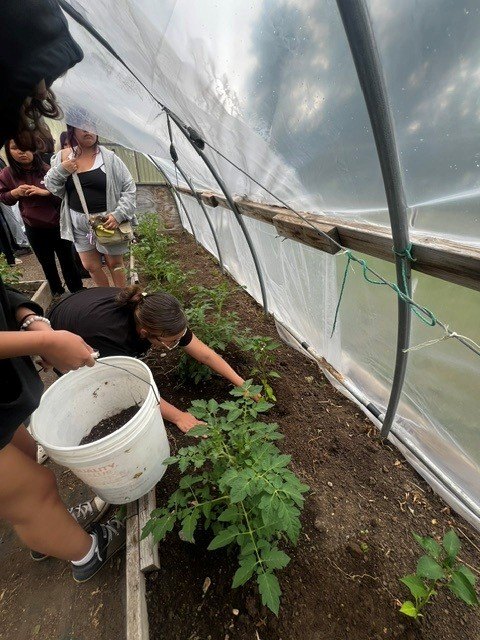 Garden Basics — 2026 Youth Development Initiative, Seven Stones Corp.