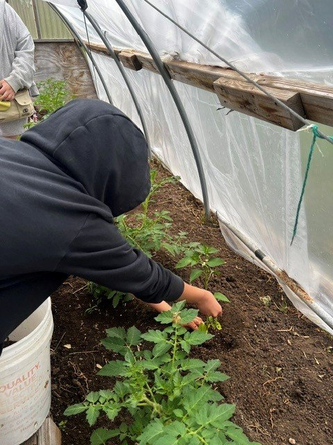 Garden Basics — 2026 Youth Development Initiative, Seven Stones Corp.