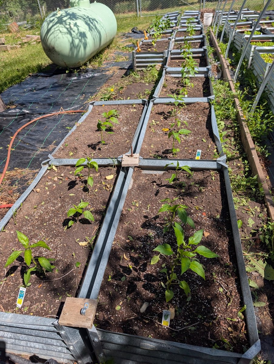Garden & Sage Picking — 2026 Youth Development Initiative, Seven Stones Corp.