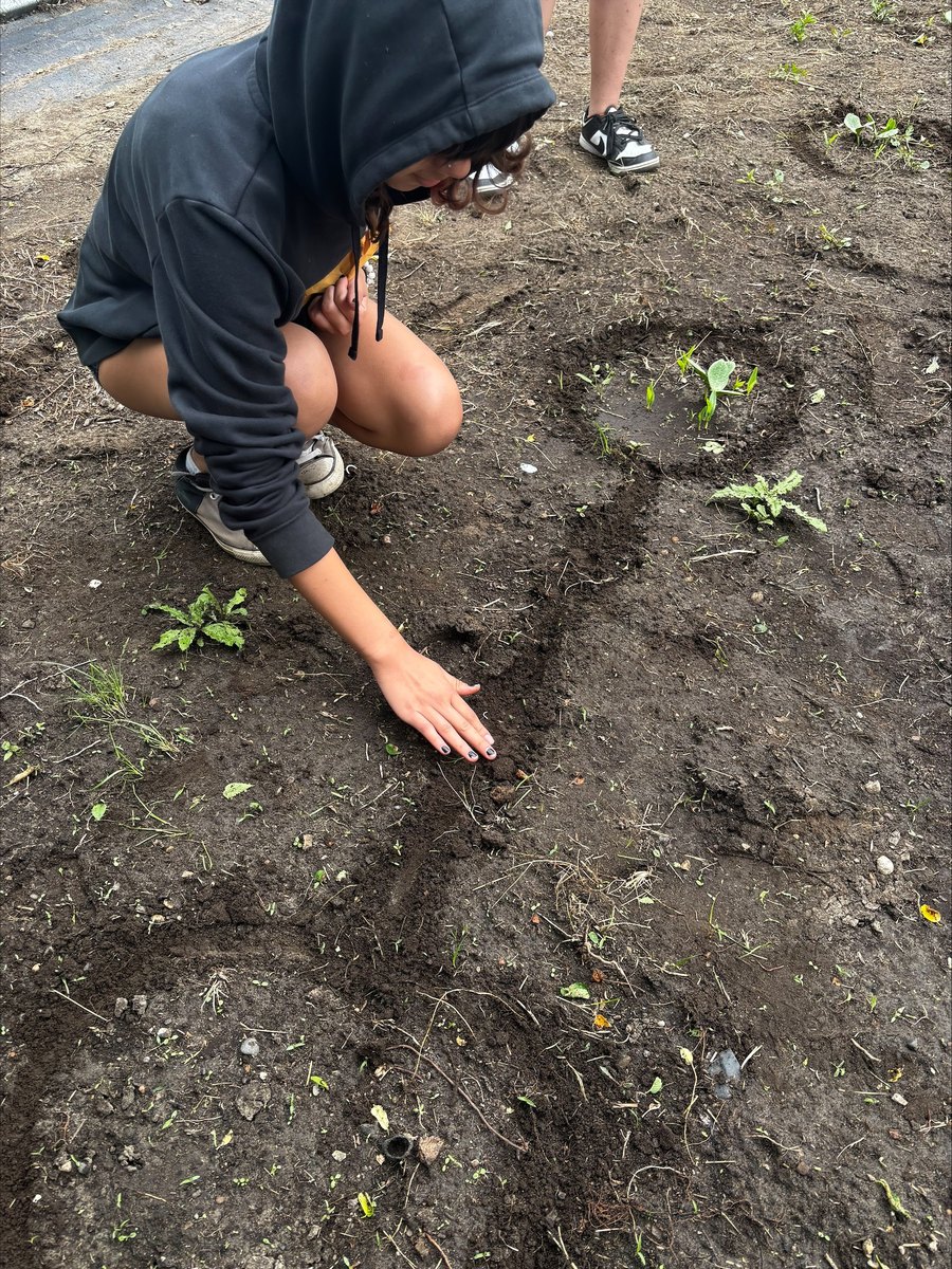 Garden & Sage Picking — 2026 Youth Development Initiative, Seven Stones Corp.
