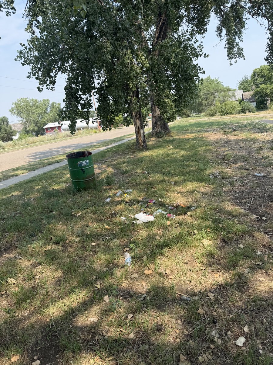 Community Clean-Up — 2026 Youth Development Initiative, Seven Stones Corp.