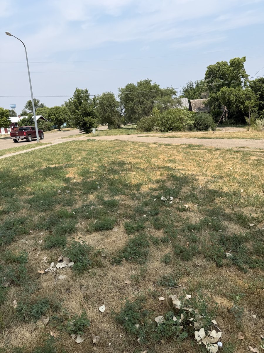 Community Clean-Up — 2026 Youth Development Initiative, Seven Stones Corp.