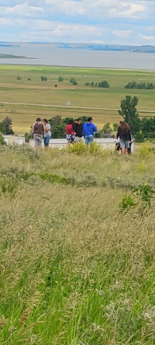 Chokecherry Picking — 2026 Youth Development Initiative, Seven Stones Corp.