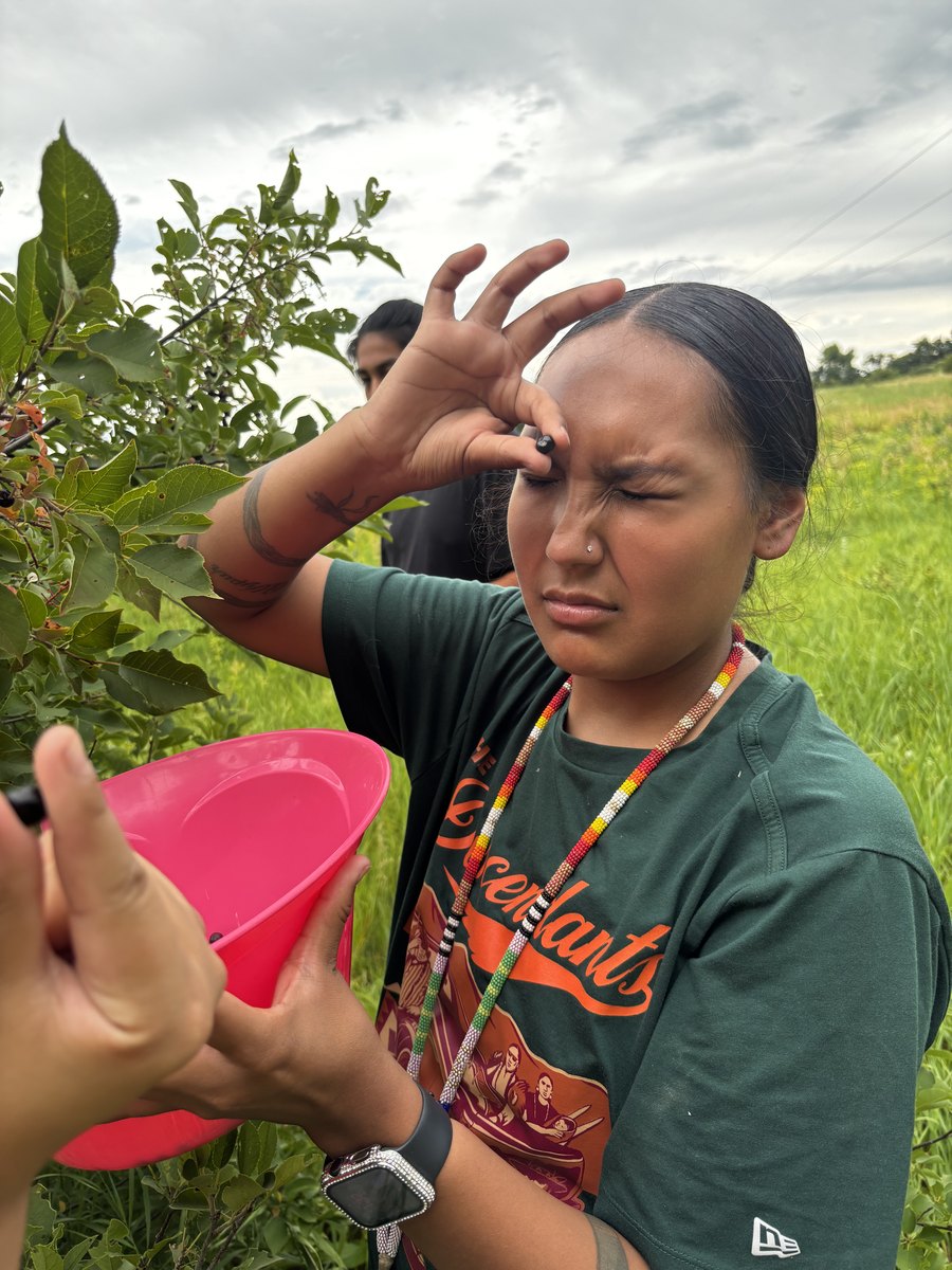 Chokecherry Picking — 2026 Youth Development Initiative, Seven Stones Corp.
